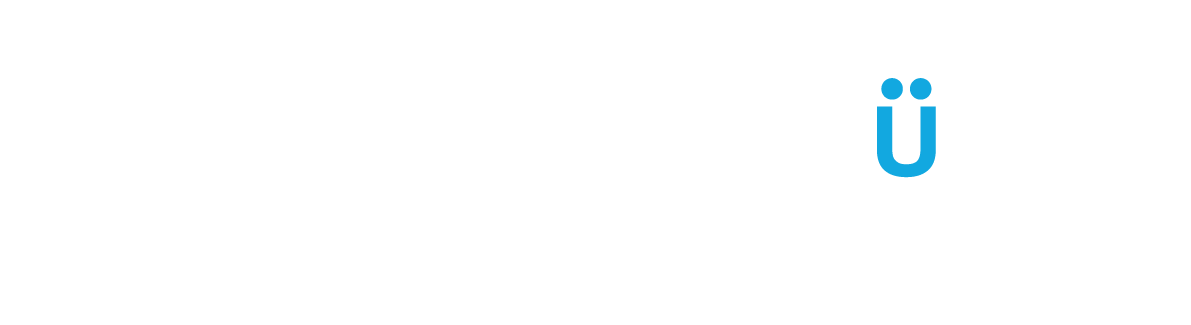 GadgetHauss — Executive Toys